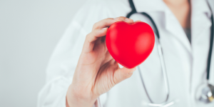 A doctor holding a red heart model in hand, symbolizing healthcare and medical support.